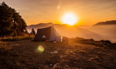 camping idéaux avec votre chien