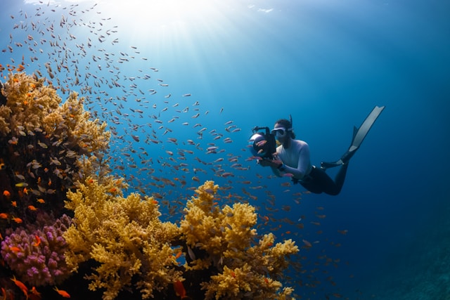 Pourquoi la plongée sous-marine en Colombie est-elle l’aventure aquatique de l’année ?