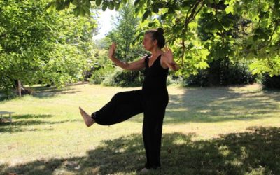 le Tai-chi