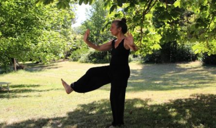 le Tai-chi