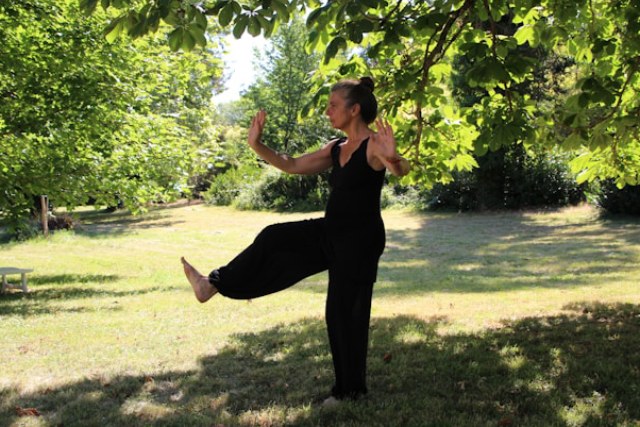 Tai-chi : la sagesse ancestrale au service de l&rsquo;harmonie du corps et de l&rsquo;esprit