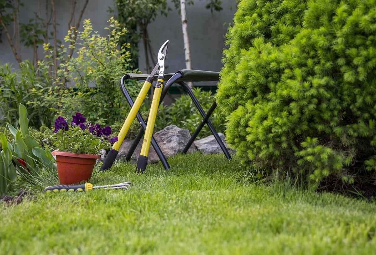 Outils de jardinage posés sur la pelouse près d'un pot de fleurs